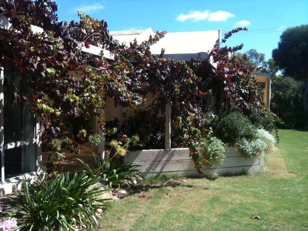 Bellevue Bed & Breakfast Mclaren Vale Ngoại thất bức ảnh