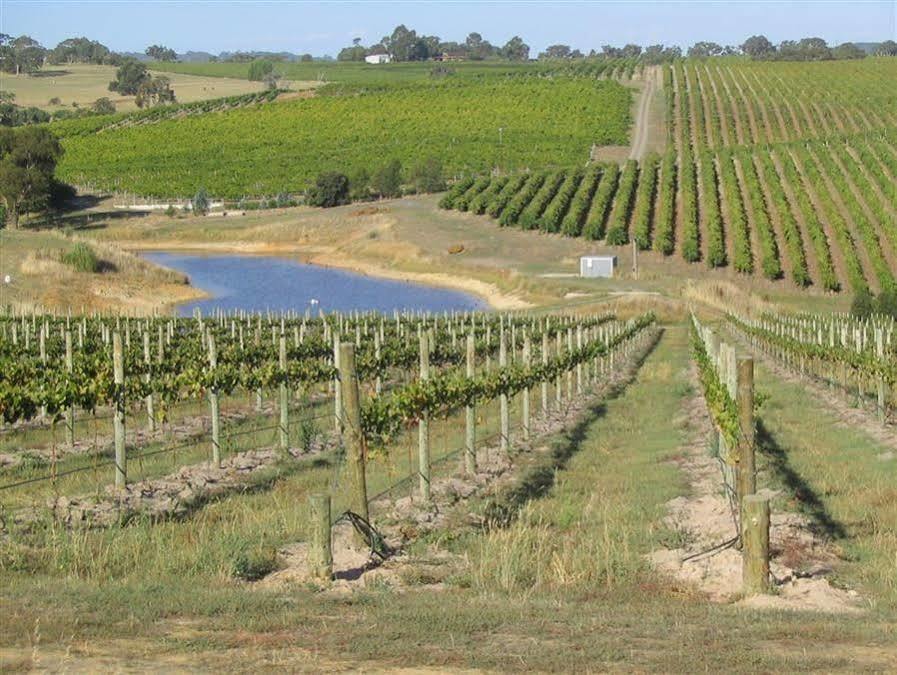 Bellevue Bed & Breakfast Mclaren Vale Ngoại thất bức ảnh
